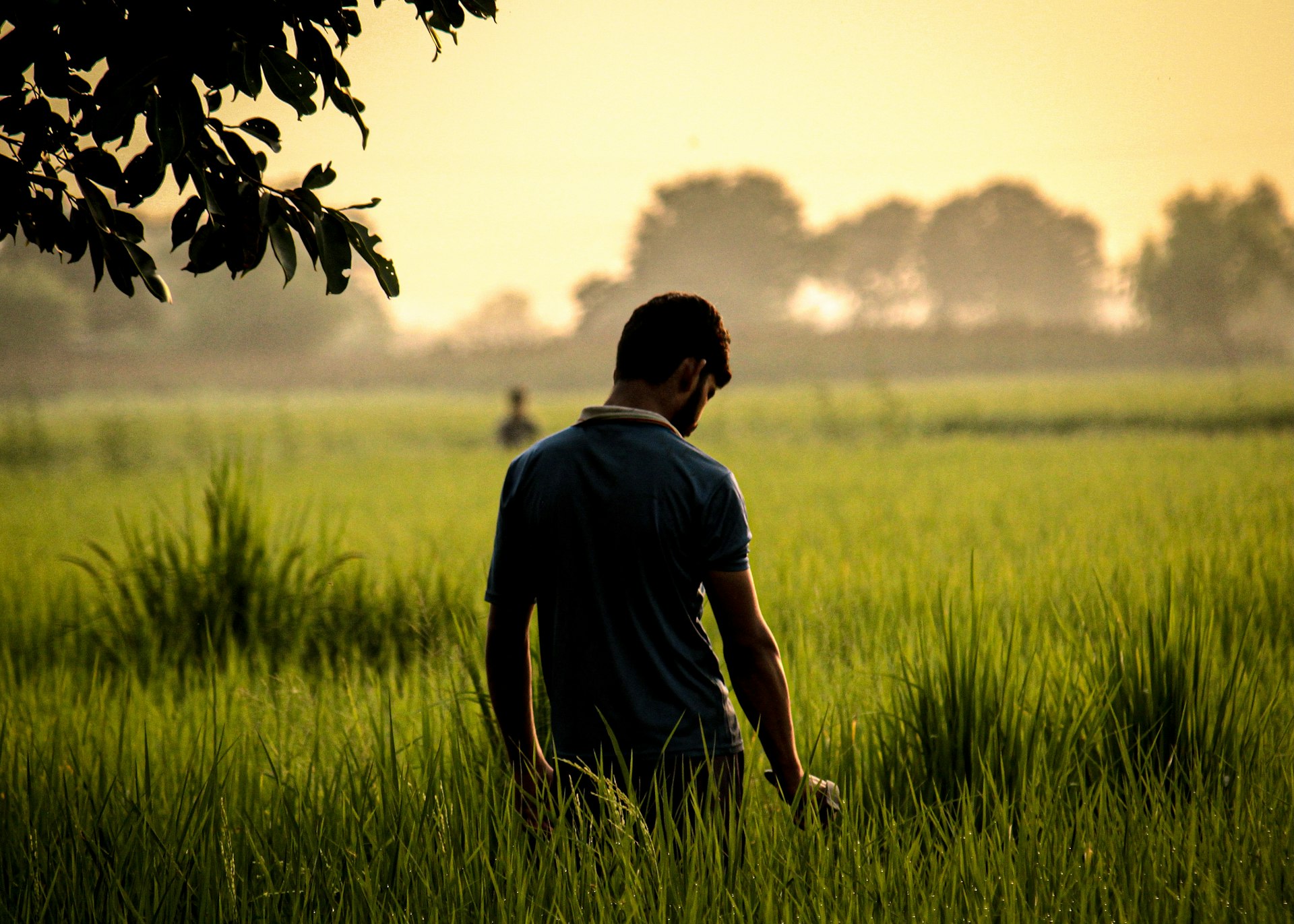 A man standing in a field of tall grass